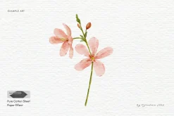 15 Procreate Watercolor Brushes