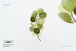 15 Procreate Watercolor Brushes