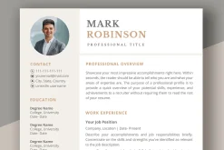 Professional CV template/ resume