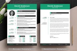 Professional Resume Cv Word Pages