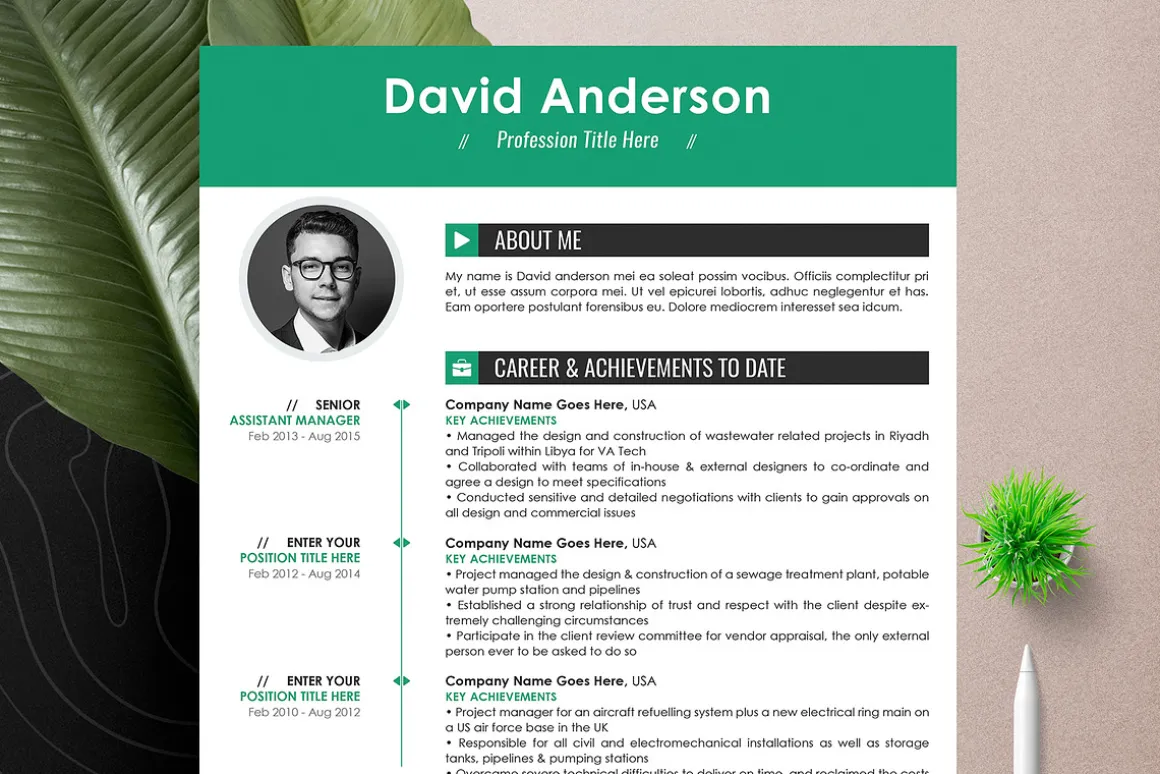 Professional Resume Cv Word Pages