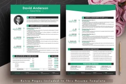 Professional Resume Cv Word Pages