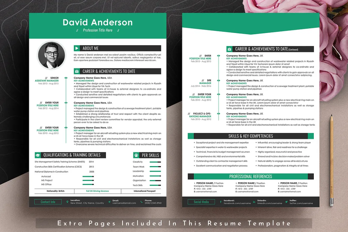 Professional Resume Cv Word Pages