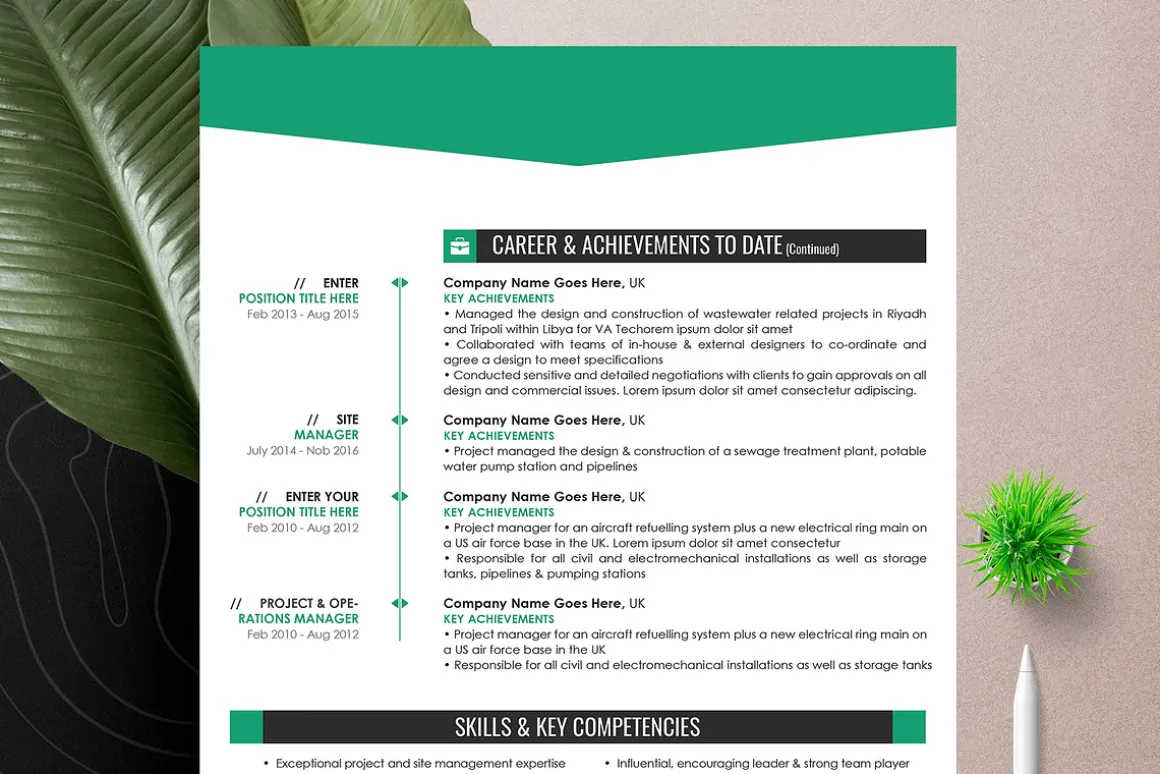 Professional Resume Cv Word Pages