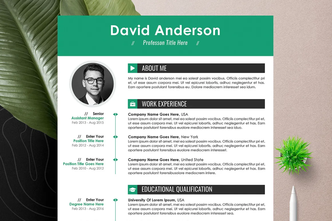 Professional Resume Cv Word Pages