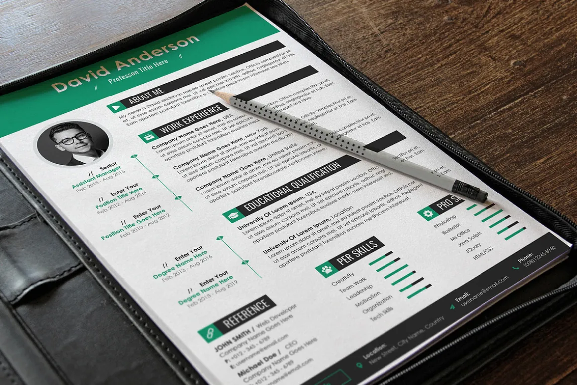 Professional Resume Cv Word Pages