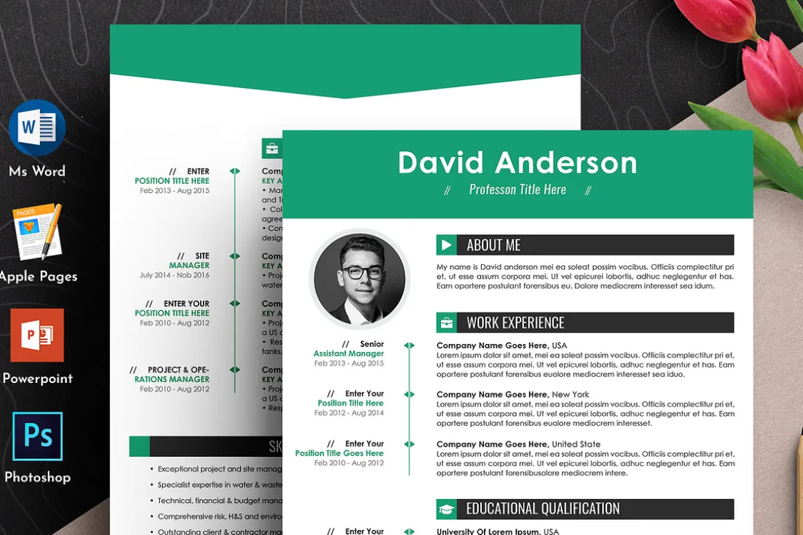 Professional Resume Cv Word Pages