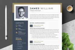 Professional Word Resume Template
