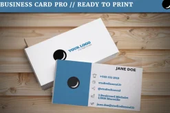 Professional Business Card