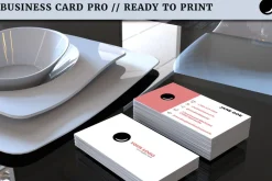 Professional Business Card
