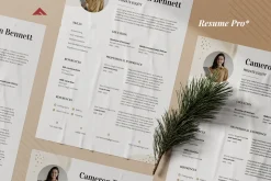 Professional CV