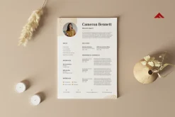 Professional CV