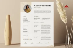 Professional CV