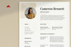 Professional CV
