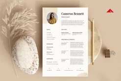 Professional CV