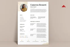 Professional CV
