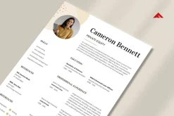 Professional CV