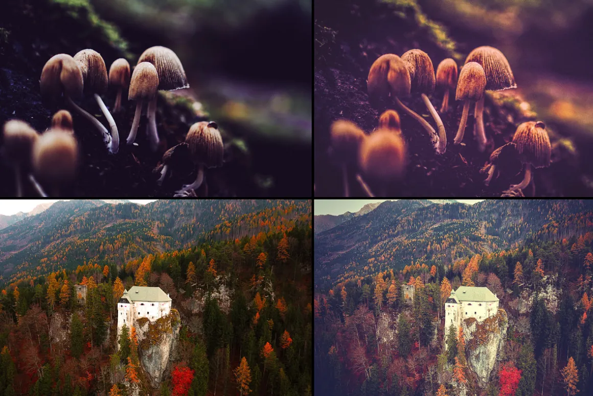 7000+ Professional Lightroom Presets