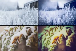7000+ Professional Lightroom Presets
