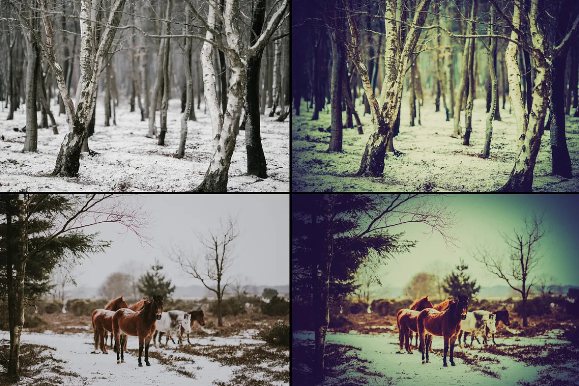 7000+ Professional Lightroom Presets