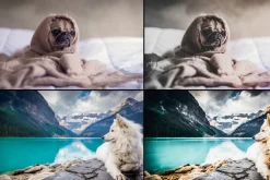 7000+ Professional Lightroom Presets
