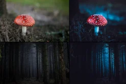 7000+ Professional Lightroom Presets