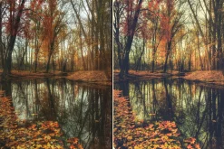 7000+ Professional Lightroom Presets