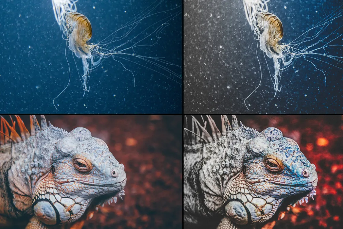 7000+ Professional Lightroom Presets