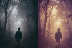 7000+ Professional Lightroom Presets