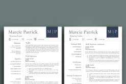Professional Resume/CV Template