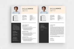Professional Resume CV Template