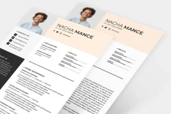 Professional Resume CV Template