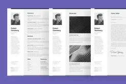 Professional Resume Set 1 Vertical