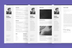 Professional Resume Set 1 Vertical