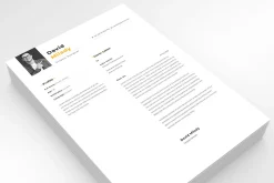 Professional Resume Template