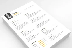 Professional Resume Template