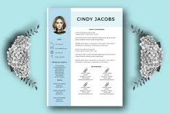 Professional resume template Word