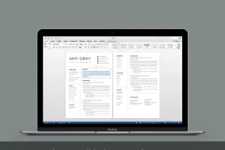 Professional resume template / CV