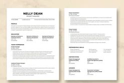 Project Manager Resume Template