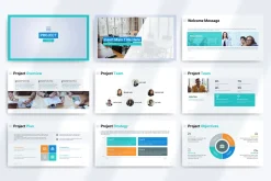 Project Presentation Template - GS