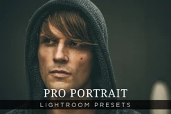Pro Portrait Lightroom Presets Vol 1