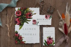 Protea floral watercolor clipart png