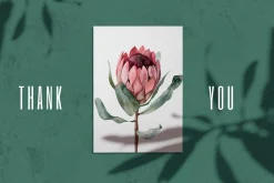 Protea floral watercolor clipart png