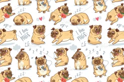 Pugs puppies