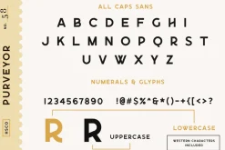 Purveyor - 8 Fonts Included