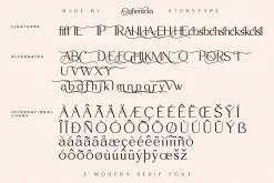Qafientola A Modern Stylish Serif