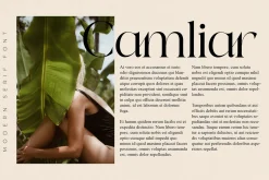 Qeilab Modern Serif Font