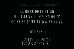 Qezatex - Modern Serif Font