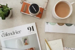 Quahon Modern Stylish Font