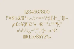 Quahon Modern Stylish Font